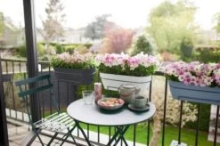 Elho Vibia Campana Trough Allin1 50cm Anthracite -Decor In Garden Store vibia campana trough allin1 50cm group 1