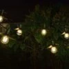 Vivo 365 String Lights Set Of 8 - Smart Solar 1 Vivo 365 String Lights Set Of 8 - Smart Solar -Decor In Garden Store vivo