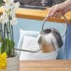 Smart Garden Stainless Steel Watering Can 1L