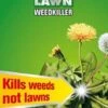 Weedol Lawn Weedkiller - 500ml -Decor In Garden Store weedol lawn killer 500ml