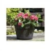 Tom Chambers Whiskey Barrel Planter Large -Decor In Garden Store whiskey barrel
