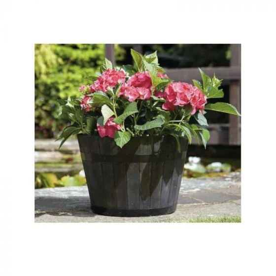 Tom Chambers Whiskey Barrel Planter Small 3 Tom Chambers Whiskey Barrel Planter Small
