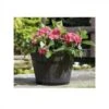 Tom Chambers Whiskey Barrel Planter Medium -Decor In Garden Store wp200 whisky barrel planter small wpcf 450x900 pad 4095 1