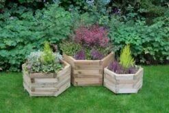 Forest Garden York Hexagonal Planters Set Of 3 -Decor In Garden Store york hex